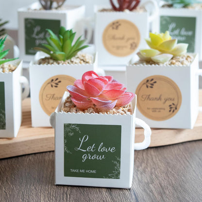 Temlum 2.5 Inch Succulent Wrap Bags (Fits 2.5″ Pots) with Thank You & Let Love Grow Stickers, Small Gift Box for Wedding, Baby Shower, Succulent Party Favors for Guests (White 100pcs)