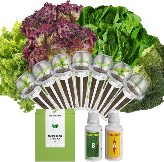 inbloom Salad Romaine Lettuce Seed Pod Kit for AeroGarden, Ahopegarden Hydroponics Growing System