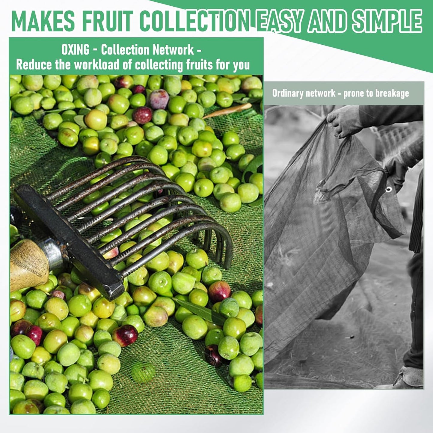 Fruit Collector Harvesting Net - 26.2 x13.1 ft Green Agricultural Harvest Netting for Walnut, Olive, Chestnut, Plum, and Hazelnut - Easy Picking & Reusable Collection Net (8x4m)