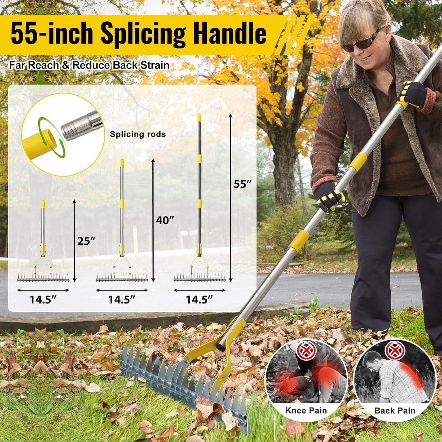 2 in 1 Rake: Stainless Steel Garden Rake for Leaves,Thatch,55” Heavy Duty 19 Tines Lawn Manual Dethatcher with Adjustable Head,Thatching Rakes for Lawn Yard Grass, Debris Removal, Soil Loosening