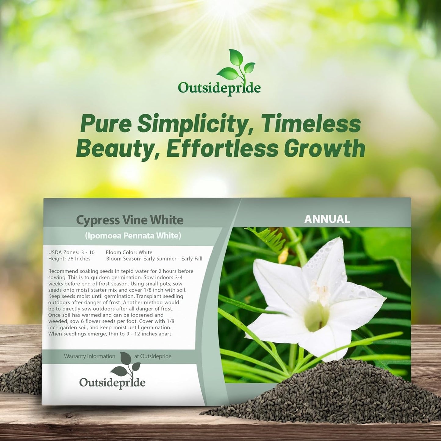 Outsidepride White Cypress Vine Seeds - 100 Pcs Annual Flower Seeds with Nectar-Rich, Star-Shaped Flowers & Feathery, Fern-Like Leaves for Fences, Trellises, Pergolas & Vertical Gardens