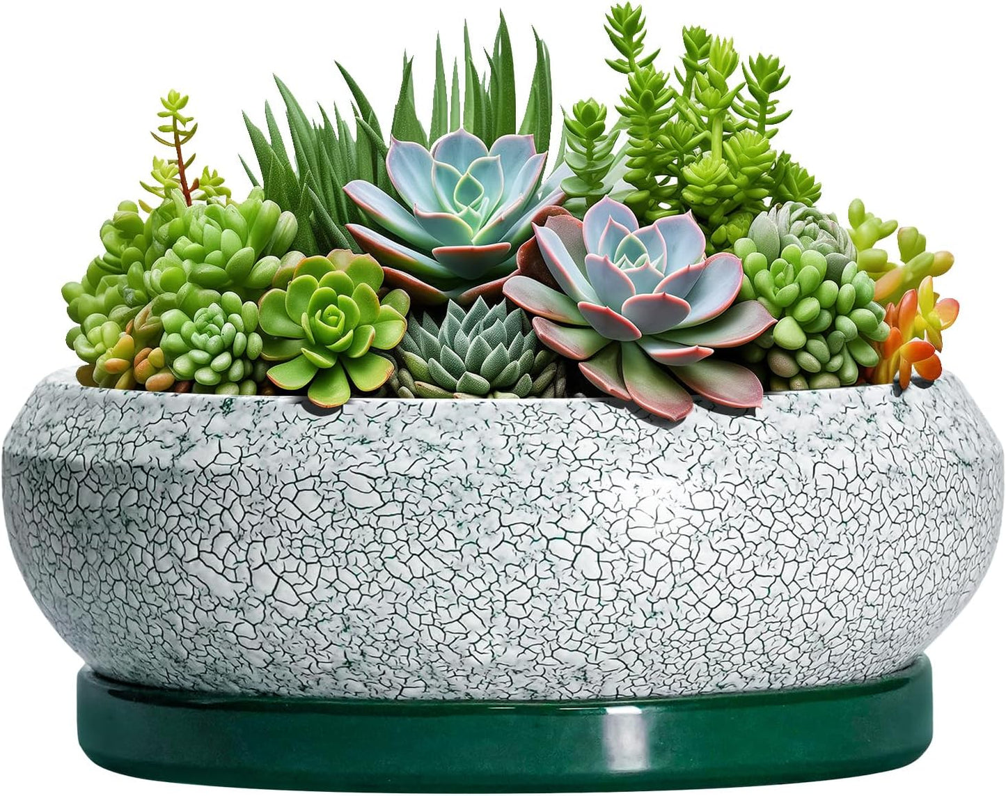Succulent Planters 10 Inch - Ceramic Bonsai Pots with Drainage Hole and Saucer, Large Succulent Pots Indoor, Shallow Planter, Round Bowl Planter Outdoor, Patio Decor, Plant Lover Gift, Green