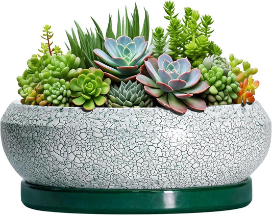 Succulent Planters 10 Inch - Ceramic Bonsai Pots with Drainage Hole and Saucer, Large Succulent Pots Indoor, Shallow Planter, Round Bowl Planter Outdoor, Patio Decor, Plant Lover Gift, Green