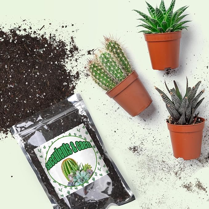 Cactus and Succulent Soil Potting Mix 2qt, Well Draining Chunky Soil Mix for Indoor Plants, Gritty Soil for Healthy Indoor Plants - Spike & Bloom