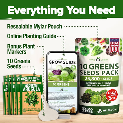 HOME GROWN 11,500+ Heirloom Lettuce Seeds - 10 Varieties Including Romaine, Buttercrunch, Iceberg, Kale & Spinach - Non-GMO USA Seeds for Planting Indoor, Outdoor & Hydroponic Gardens