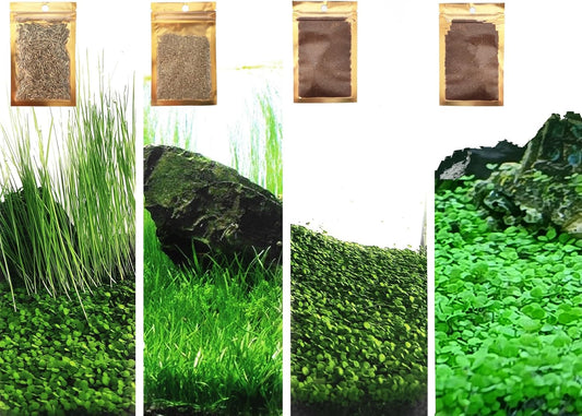4 Bags Aquarium Plant S.e.e.ds, not Artificial Plastic Plant, Fish Tank Live Grass for All