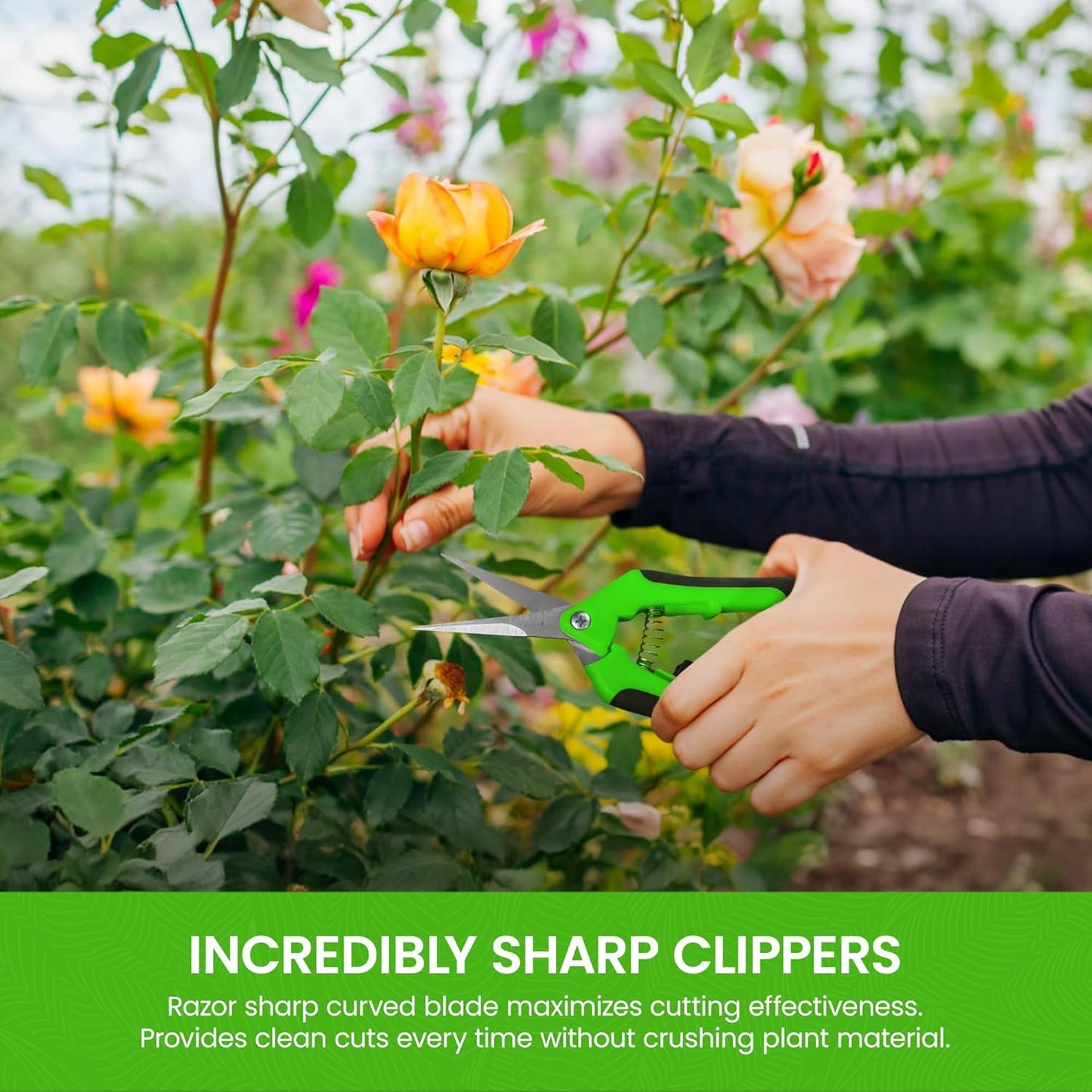 Garden Guru Razor Sharp Snip - Professional Garden Pruning Shears Trimmers Scissors – Micro-Tip Precision Stainless Steel Blades - Easy on Arthritic Hands - Soft Ergonomic Rubber Handles (4 Pack)