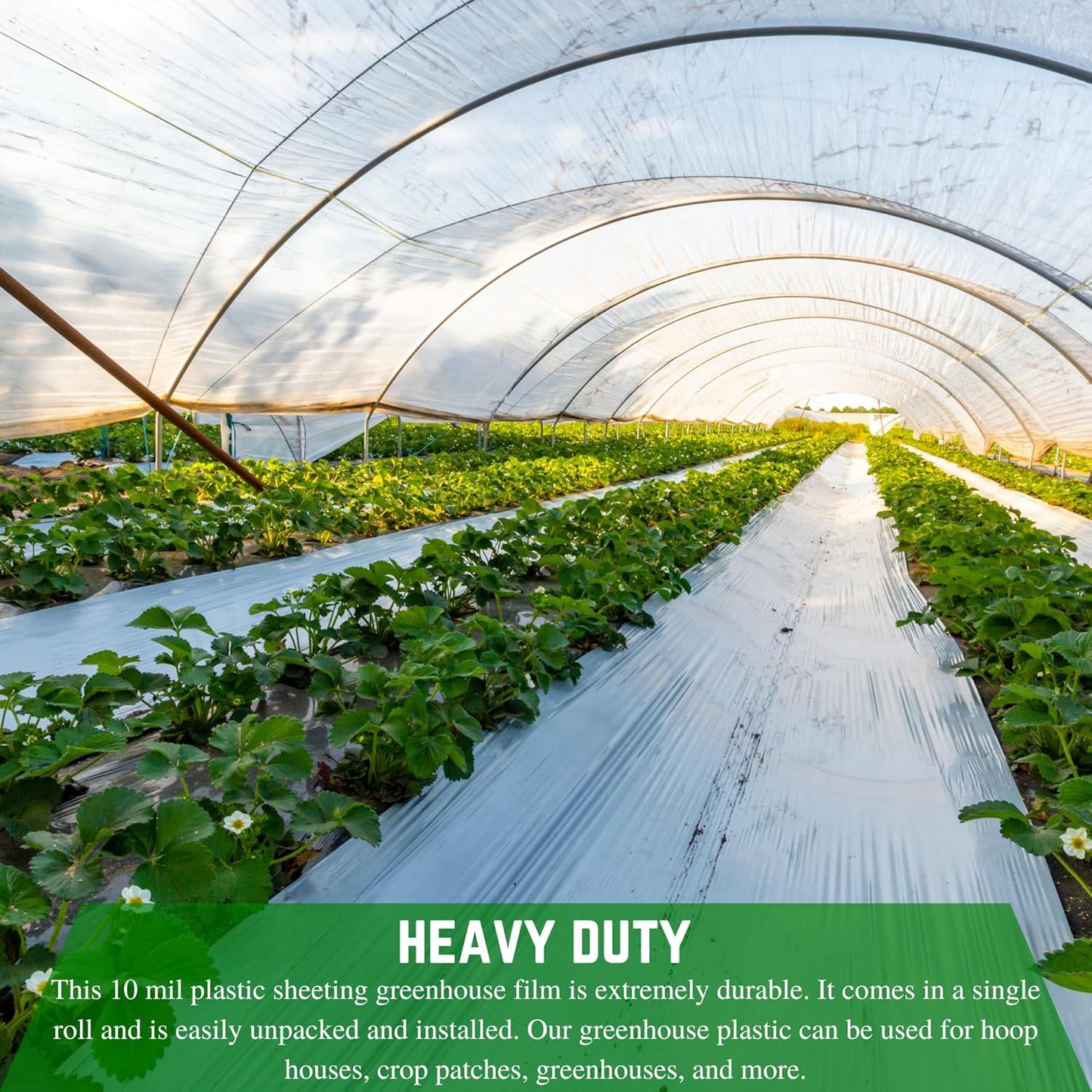 Farm Plastic Supply - String Reinforced 4 Year UV Resistant 10 mil Clear Greenhouse Plastic Sheeting - 4 Year UV Resistant Polyethylene Greenhouse Film, Hoop House Green House Cover (32' x 100')