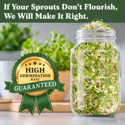 Seedboy Organic Non-GMO Sprouting Seeds, Fresh Salad Blend – USA Grown Microgreens Mix with Alfalfa, Broccoli, Radish, Mung Bean & Lentil – 8 oz Bag Makes 8 Quarts / 24 Servings (Salad Blend)