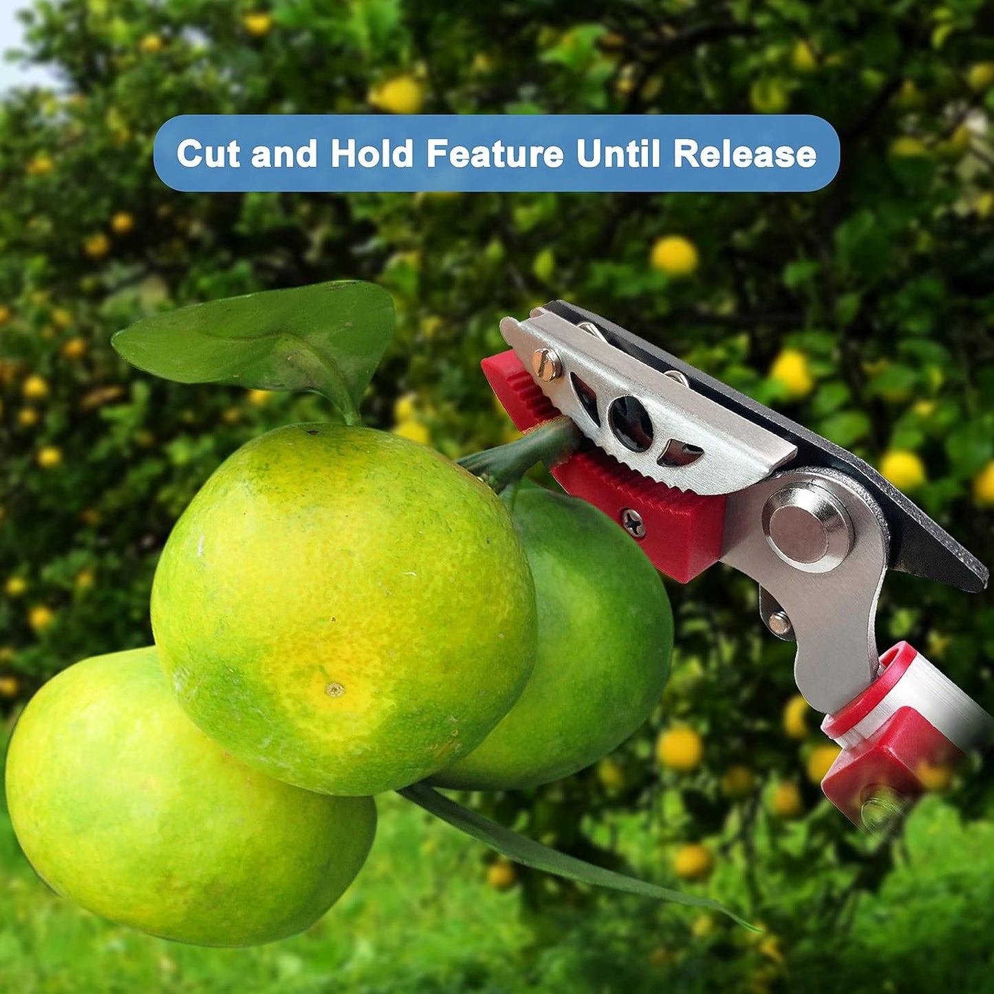 Tree Pruner Extendable 4.5-11.5 FT, Tree Trimmer Telescoping with 4 Section, Long Handle Pruning Shears, Cut and Hold Clippers, Pole Saws Branch Cutter, Loppers, Fruit Picker Tool