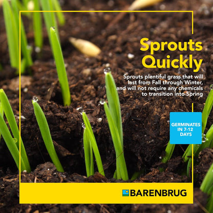 Barenbrug Wonderlawn Winter Grass Seed Mix for Lawn Care and Landscaping, 5 lbs. Bag
