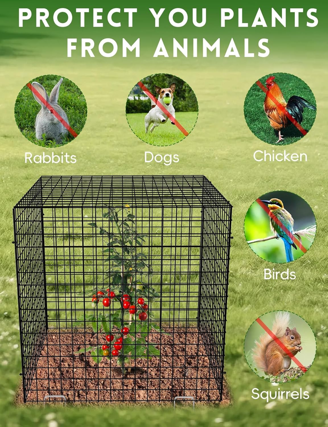 5 Pack Plant Protector from Animals, Square Metal Plant Cages Chicken Wire Cover Mesh Plant Cage, Garden Plant Protector for Plants Flower Vegetable to Keep Animals Out (12x12 in)
