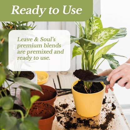 Professional Money Tree Soil | Large 2.2 Quarts Ready to Use for Money Tree Plants | Peat Moss, Coco Coir, Perlite, Dolomite | Made in USA