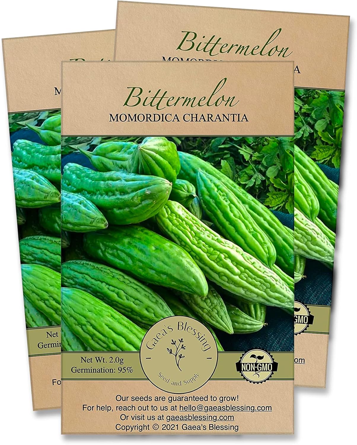Gaea's Blessing Seeds - Bitter Melon Seeds - Bitter Gourd Heirloom Non-GMO Bittermelon Seeds with Easy to Follow Planting Instructions - 92% Germination Rate (Pack of 3)
