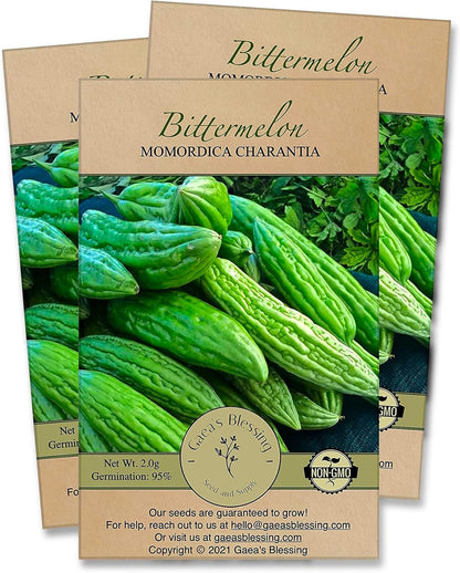 Gaea's Blessing Seeds - Bitter Melon Seeds - Bitter Gourd Heirloom Non-GMO Bittermelon Seeds with Easy to Follow Planting Instructions - 92% Germination Rate (Pack of 3)