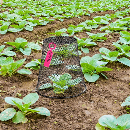 10 Pcs Garden Chicken Wire Plant Covers, 11x11Inch Metal Wire Garden Cloches Chicken Wire Cloche Plant Protector Heavy Duty Garden Plant Cloche for Keeping Bunnies Chicken Squirrels Birds Other Out