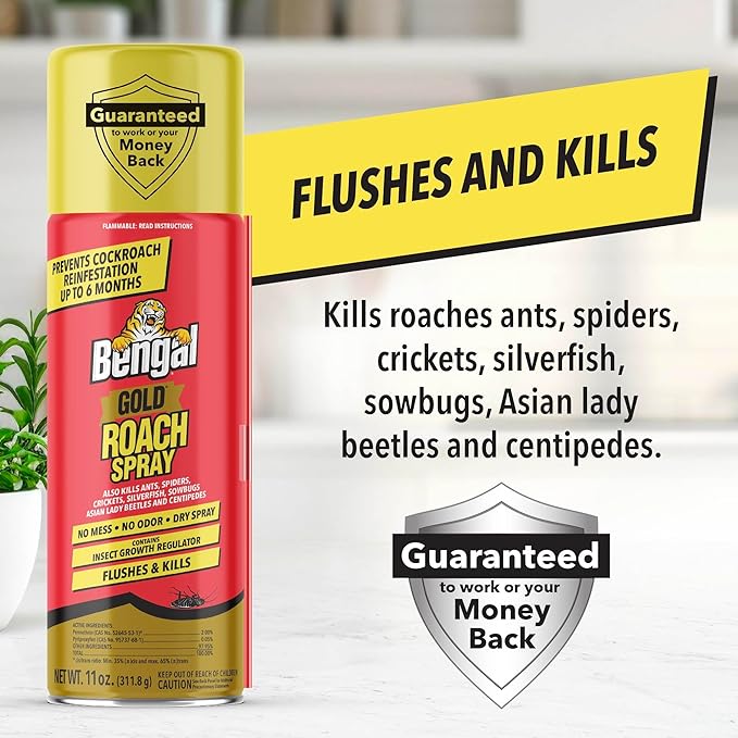 Bengal Gold Roach Spray - Odorless, Stain-Free Bug Spray for Home - Prevents Reinfestation for Up to 6 Months - 11 oz, 3 Pack