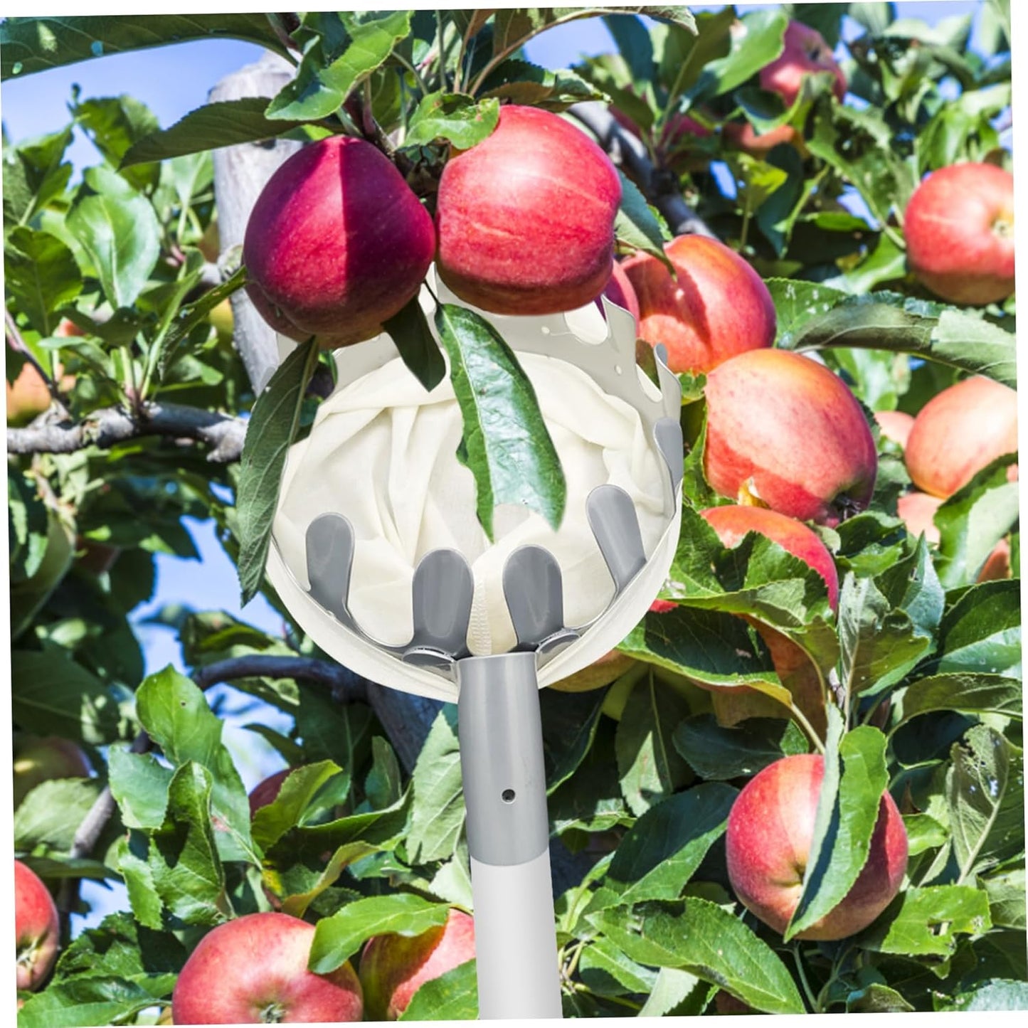 Fruit Picking Tool Fruit Picker with Storage Bag 6.30inch Diameter Portable Round Orange Pear Lemon Harvester Picking Tool Picks for Home Garden Farm Orchard
