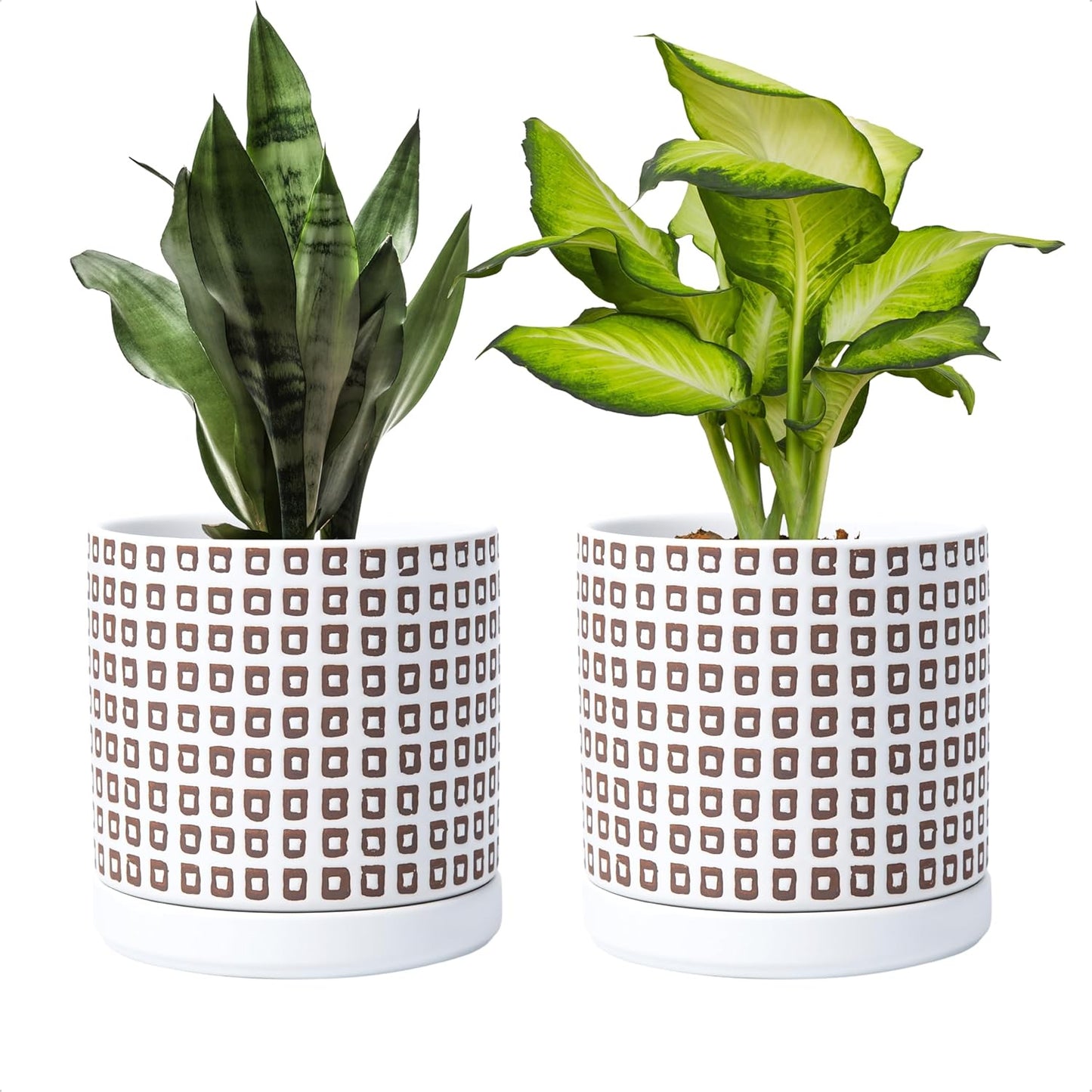 D'vine Dev Set of 2 Ceramic Planter Pots with Drainage Hole and Saucer, 6 Inch Plant Pots for Plants Indoor Houseplants, White, 99-Z-A-1-Y