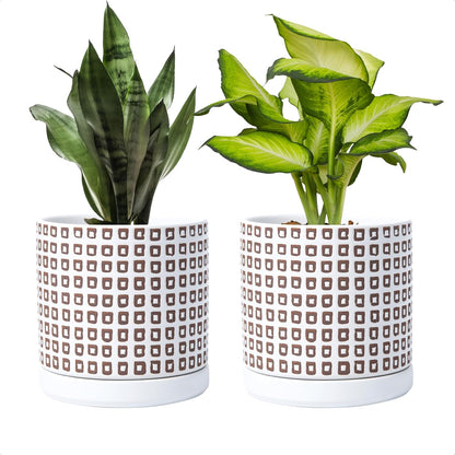 D'vine Dev Set of 2 Ceramic Planter Pots with Drainage Hole and Saucer, 6 Inch Plant Pots for Plants Indoor Houseplants, White, 99-Z-A-1-Y