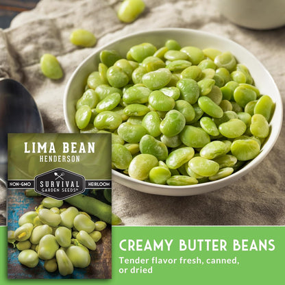 Lima Bean Seeds for Planting – Henderson Butter Bean Seeds for Gardens & Classroom Science Projects, Easy to Grow Non-GMO Heirloom Variety - Survival Garden Seeds (2 Packs)