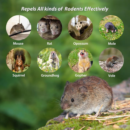 Rodent Repellent Balls,10Pcs Mouse Repellent Balls Peppermint Oil for Mice Squirrel Mole Pests, Natural Pest Control Pouches for Indoor Outdoor Kitchen Car Warehouse, Safe for Pets & Family