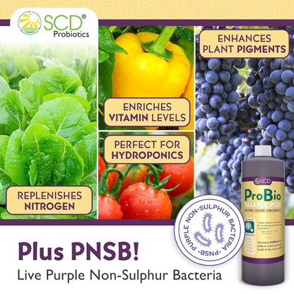 SCD Probiotics ProBio Balance Plus - Make 20X More Soil Conditioner - Super Concentrate Of Effective Beneficial Microorganisms + PNSB Phototrophs - OMRI Listed for Organic Farm Lawn & Garden (1 Liter)