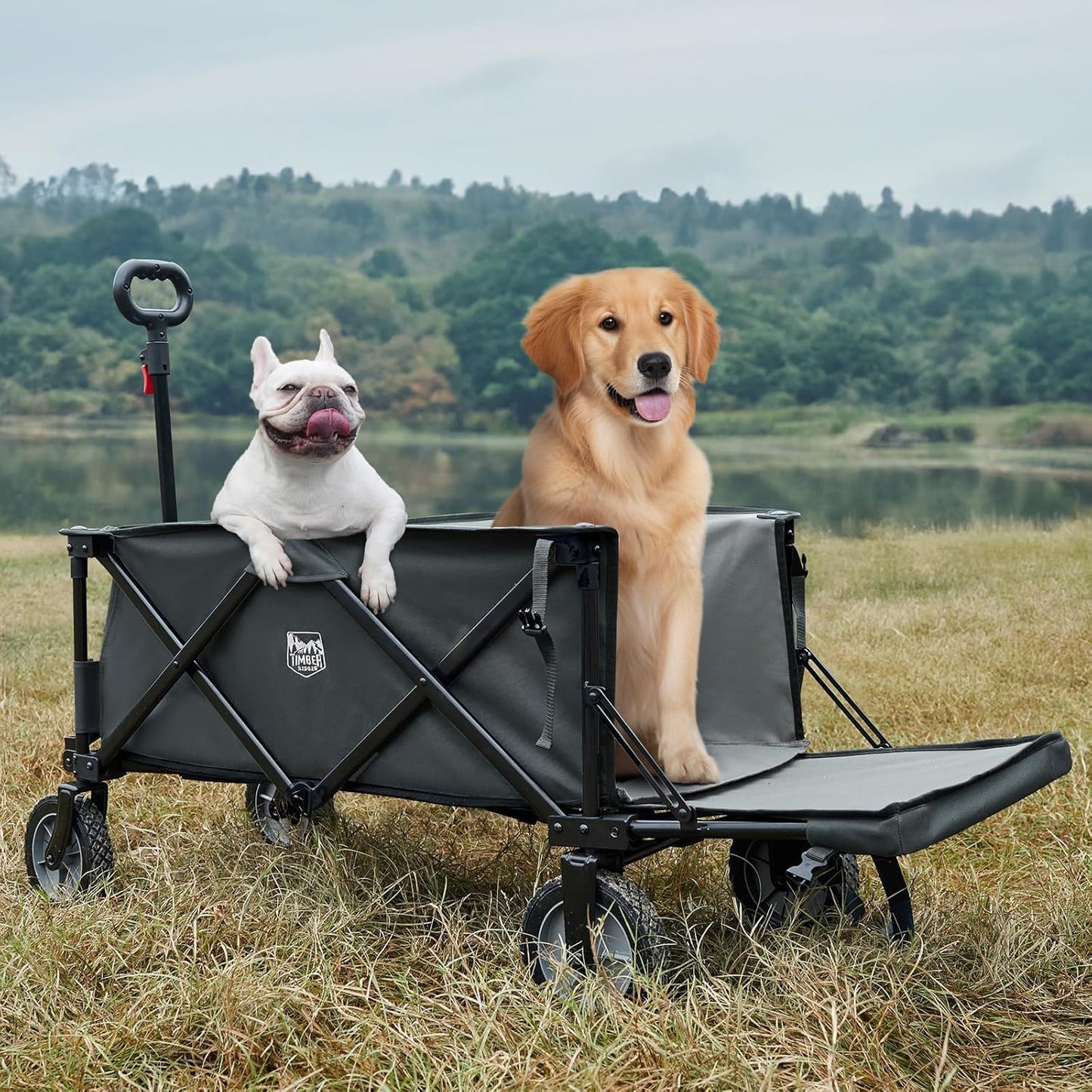 TIMBER RIDGE 49" Extra Long Collapsible Folding Wagon with Tailgate and Brakes, 250L Capacity All-Terrain Wagon Carts Foldable, 300lbs Portable Cart for Dog, Garden, Outdoor Camping Sports, Grey