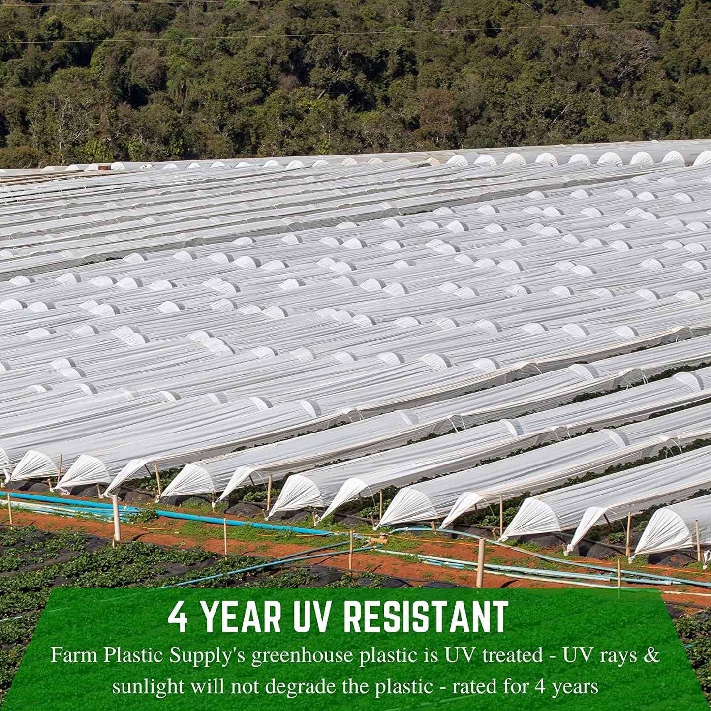 Farm Plastic Supply - White Greenhouse Plastic Sheeting - 6 mil - (32' x 40') - 4 Year UV Resistant Poly Greenhouse Film, 55% Light Transmission Hoop House Cover for Gardening, Agriculture