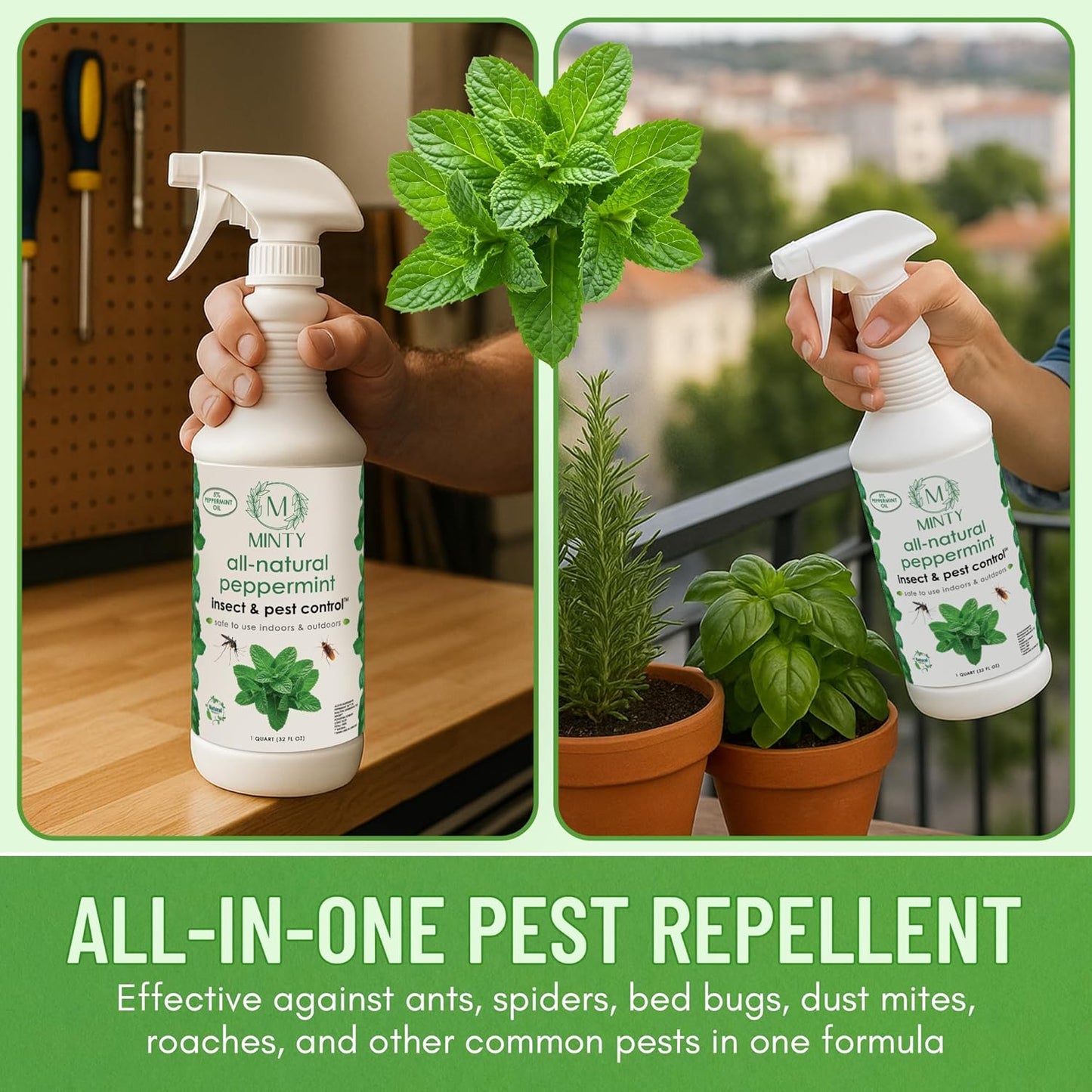 Minty Insect & Pest Control, Powerful & Natural 5% Peppermint Oil Spray for Ants, Spiders, Bed Bugs, Dust Mites, Roaches and More - Indoor and Outdoor Use, 128 fl oz Gallon