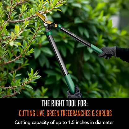 Scotts 21 in. Bypass Lopper for Tree Branch Trimming and Pruning – Heavy-Duty Branch Cutter with Ultra-Sharp Carbon Steel Blade, 1.5 in. Cutting Capacity and Comfort Grip Handles
