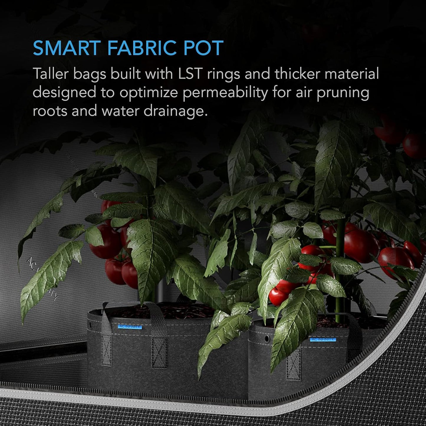 AC Infinity Heavy Duty Fabric Pots, 3 Gallon Aeration Reusable Grow Bags 5-Pack with 500G Thick Nonwoven Fabric and Multi-Purpose Rings, for Low Stress Plant Training Fruits, Vegetables, and Flowers
