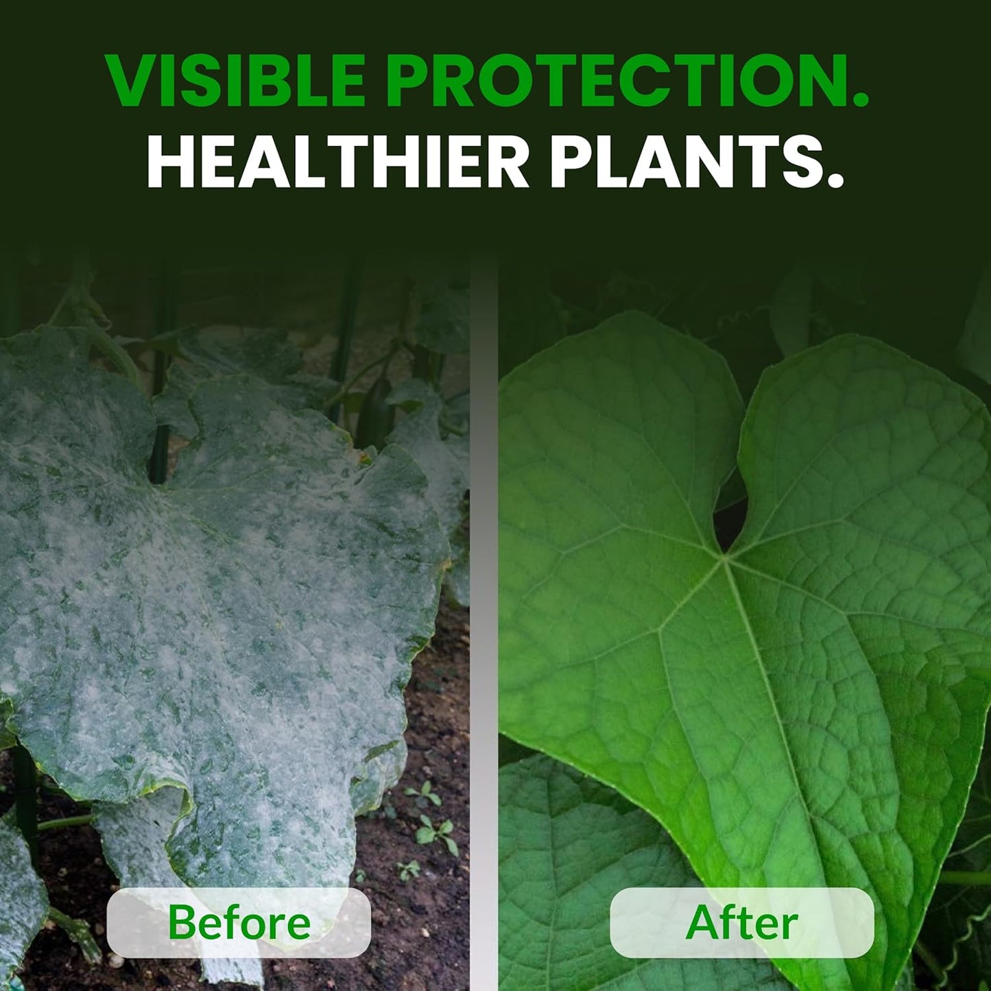 Humboldts Secret Flower Shield | Insecticide, Pesticide, Miticide, Fungicide | Bug Spray for Plants | Spider Mite & Powdery Mildew Control | Indoor & Outdoor | Houseplant & Garden | 2 Ounce