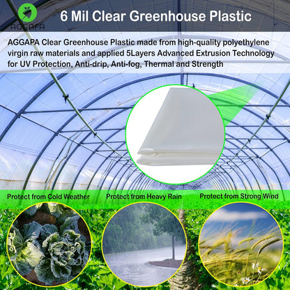 6 mil (24ft x 25ft) 100% Virgin Material. 5Layers Advanced Extrusion Technology for UV Protection, Anti-drip, Anti-Fog, Thermal and Strength. 4Years Lifetime UV Resistant Greenhouse Plastic
