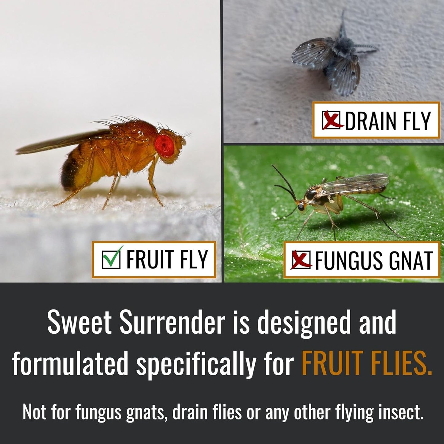 Dr. Killigan’s Fruit Fly Refill Liquid - Long-Lasting 24-Week Protection, Works with Apple Traps, Pet-Friendly and Safe for Everyday Family Use, Made in USA (16 oz)