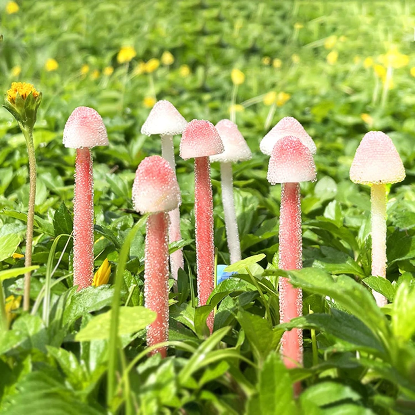Handmade Glittery Pink Resin Clay Mini Mushrooms - 8Pcs Fairy Garden Decor with Frosted Beads, Miniature Terrarium Ornaments & Desk Plant Accessories Holiday Ornaments & Desktop Decorations