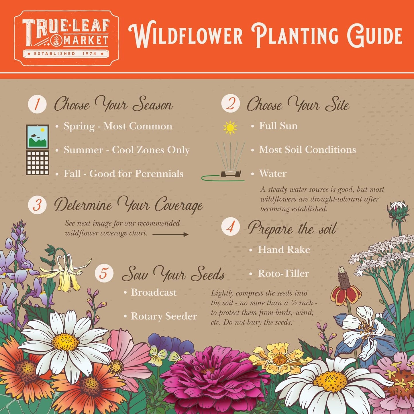 Rocky Mountain Wildflower Seeds Mix - 4 oz Seed Pouch - 22 Wild Flower Seed Varieties - Annuals, Perennials and Bi-Annuals - Flower Garden