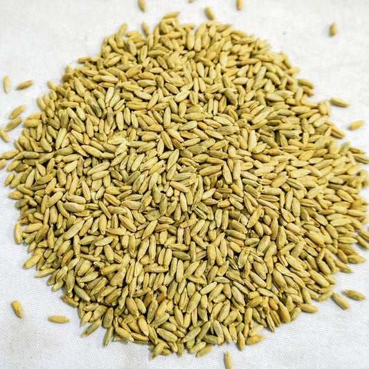 Thunder Acres Organic Winter Rye Seeds, Non-GMO (5 lb)