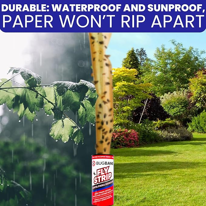 Fly Strips Indoor Sticky Hanging 10pk with Pins. Non Toxic Outdoor Fly Trap Indoor for Home. Flies Tape Paper Trap Ribbon Roll for House Gnat Fruit and Housefly. Bug Catchers for Inside Home Flypaper