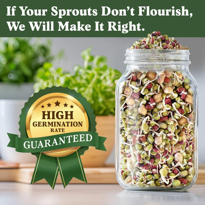 Seedboy Organic Non-GMO Sprouting Seeds, Protein Blend – USA Grown Microgreens Mix with Garbanzo, Mung Bean, Adzuki Beans, Green Pea - 8 oz Bag Makes 2 Quarts / 12 Servings (Protein Blend)