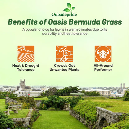 Outsidepride Oasis Bermuda Grass Seed - 25 lbs Warm Season, High Traffic, Heat Resistant, Drought-Tolerant, Low-Maintenance, Fast Growing Turf Grass for Lawn, Ideal for Sunny Areas, Thick Coverage