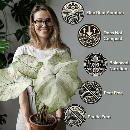 Craft Aroid Potting Mix- Elite Organic Alocasia, Philodendron, Monstera Soil Mix, Chunky, Well Draining Potting Soil for Indoor Plants, All Tropical Plants & Houseplants, Sustainable & Peat Free 1QT