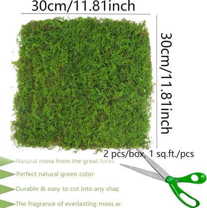 2 Pcs Preserved Sheet Moss for Potted Plants 2 sq.ft. Dried Natural Preserved Moss Mat Green Moss Sheets for Planters Crafts Woodland Decor Garden Party Decorations Wall Art DIY Project Green