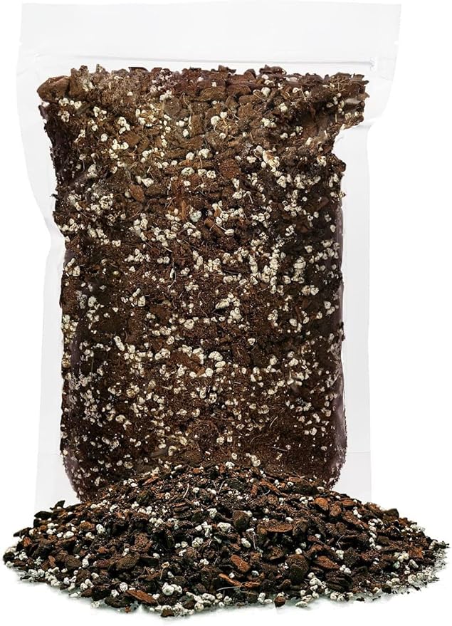 Shingle Plant Planting Mix - Promotes Steady Growth and Healthy Leaves - 10 Quart (2 Bags of 5 Quart)