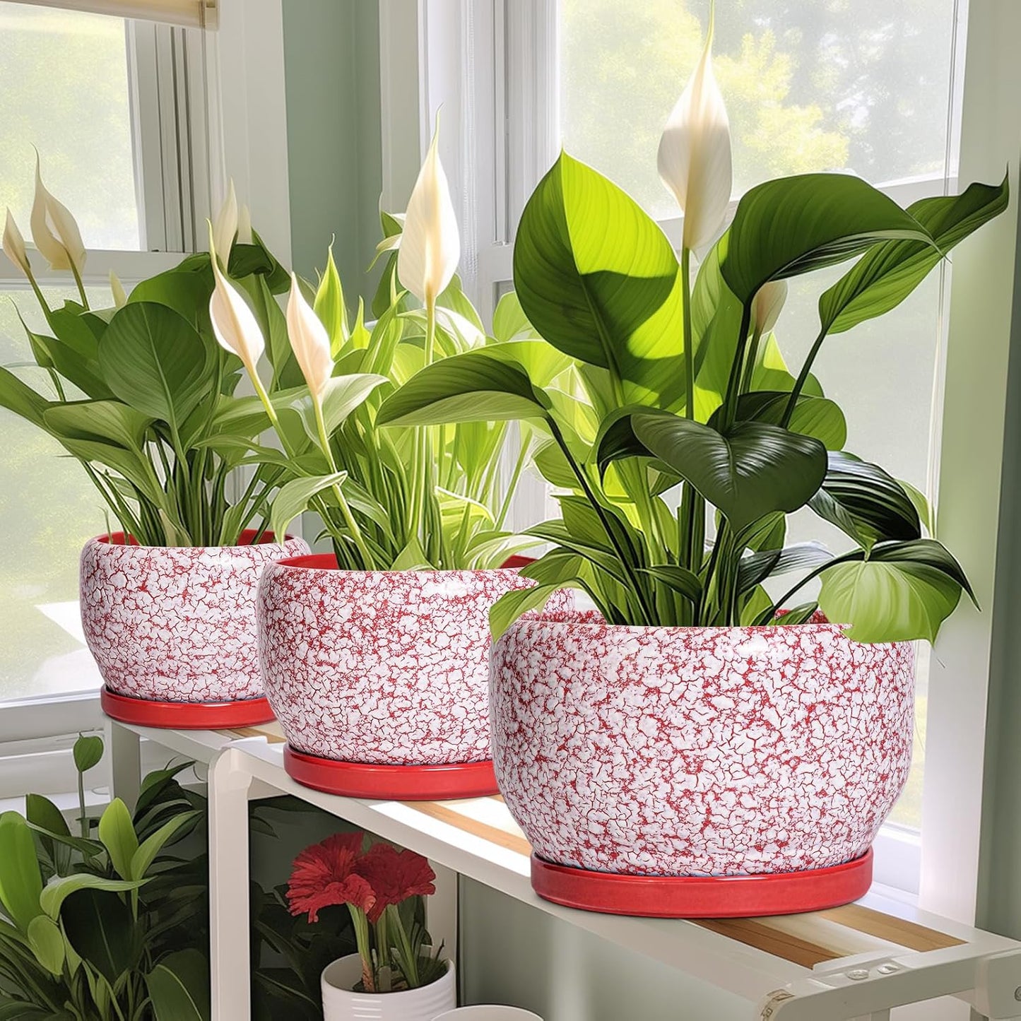 SQOWL Ceramic Planters for Indoor Plants - 10 Inch Flower Pots with Drainage Hole and Saucer, Decorative Ceramic Plant Pots, Round Large Planter Outdoor, Room Decor, Housewarming Gifts, Red and White