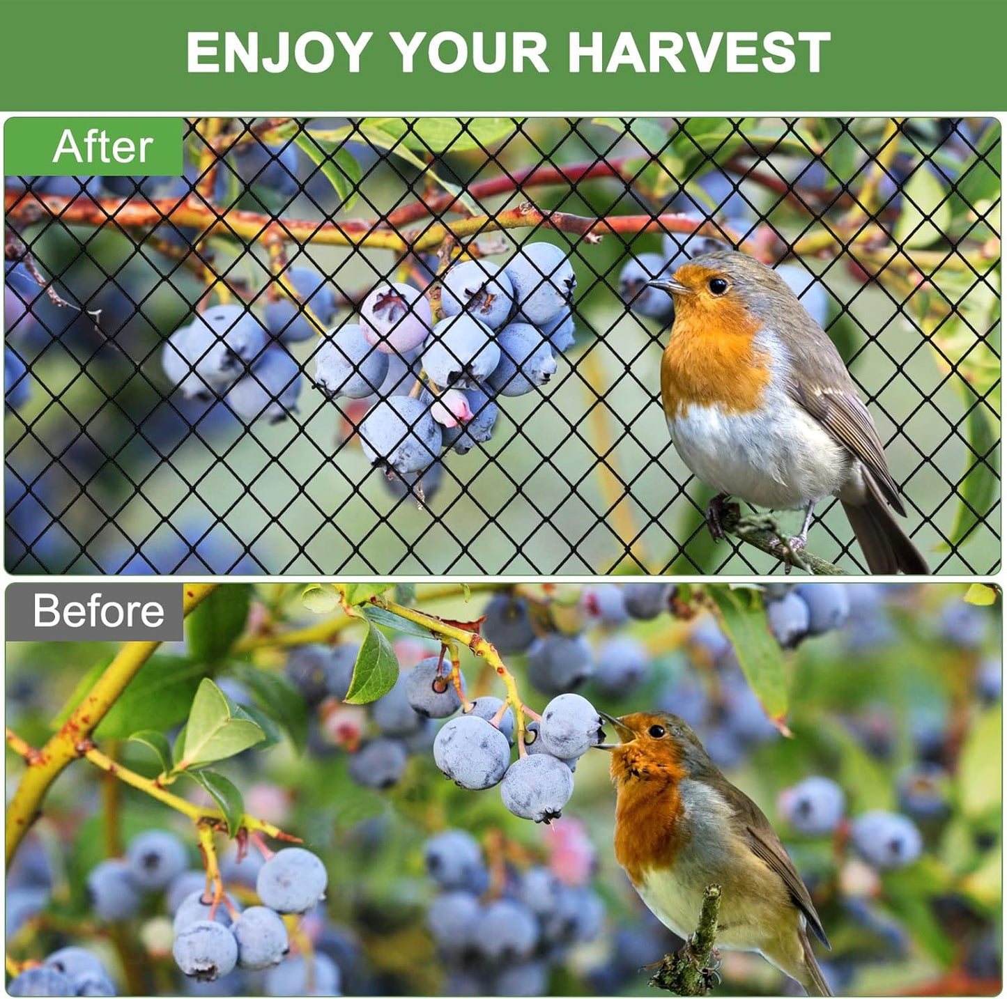 Bird Netting - Garden Poultry Netting with 3/4" Mesh Net, 50x50ft for Chickens, Heavy Duty Nylon for Fruit Tree, Orchard Protection