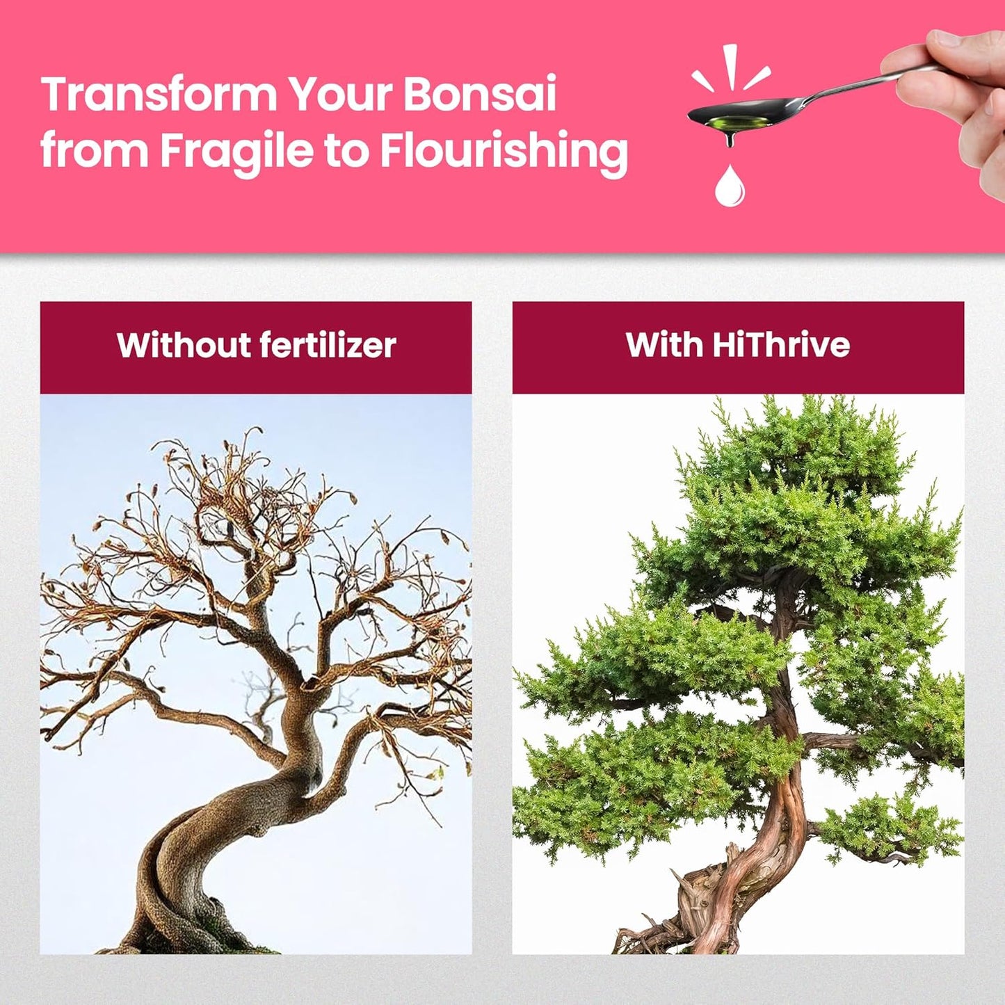 16oz Bonsai Tree Live Liquid Plant Food - Makes 32 Gallons of Bonsai Fertilizer Liquid, Premium Macronutrient Formula Enriched with Micronutrients for Healthy Roots, Branching & Foliage