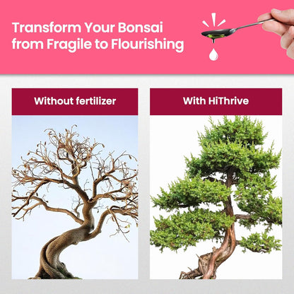 16oz Bonsai Tree Live Liquid Plant Food - Makes 32 Gallons of Bonsai Fertilizer Liquid, Premium Macronutrient Formula Enriched with Micronutrients for Healthy Roots, Branching & Foliage