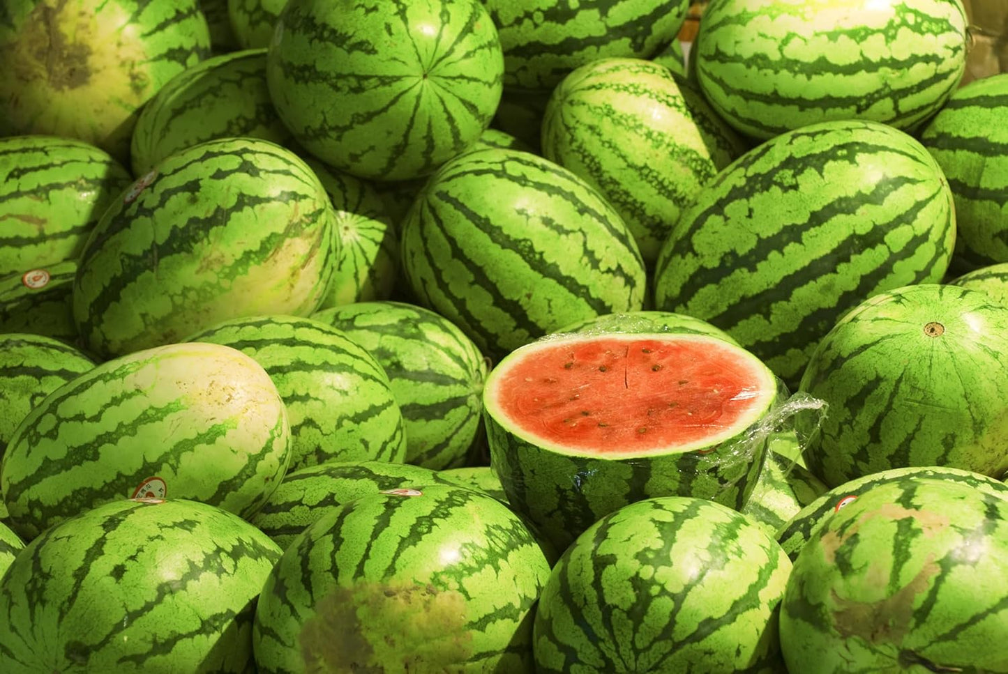 Melon Seeds Variety Pack for Planting – 4 Non-GMO Heirloom Varieties: Crimson Sweet & Sugar Baby Watermelon, Honeydew, Hale's Best Jumbo Cantaloupe – High Germination, USA-Grown Garden Fruit Seeds