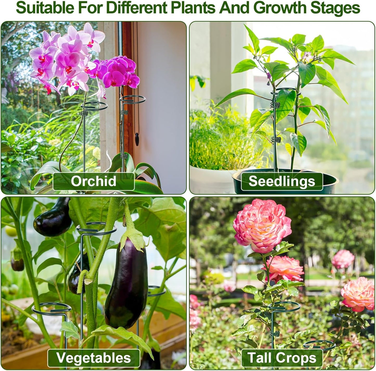 6 Sets Plant Stakes 12/25/36 Inch Adjustable Plant Support Stakes Tall for Indoor Outdoor Plant Holder Stick Steel Garden Stem Pole Amaryllis Stakes with 30 Clip for Tomato Orchid Lily Peony Flower
